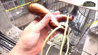 弹弓视频大全欧美国产,欧美弹弓文化全览