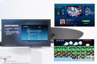 国产陶瓷板测评视频播放,品质与性能的深度解析