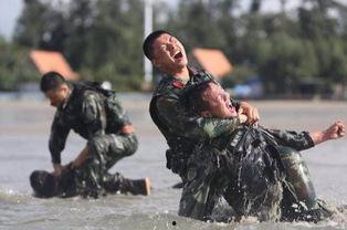 国产特种兵游戏视频,国产特种兵游戏激燃瞬间，揭秘精英战士的生死较量