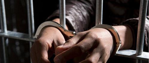 国产吊丝色视频,揭秘网络短视频的流行与争议